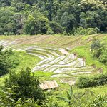 Photo taken by Stephanie T