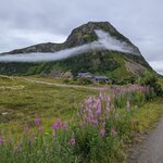 Photo taken by Dani L