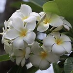 Photo taken by Steve W