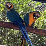 Photo taken by Andrew S