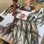 Photo taken by Cynthia T