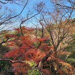 Photo taken by Zulhelmi R