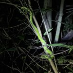 Photo taken by Carrie N