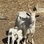 Photo taken by Andrea B