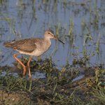 Photo taken by Graham D