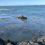 Photo taken by Andrew H