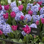 Photo taken by Brian M