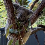 Photo taken by Lilly R