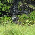 Photo taken by Tamara N