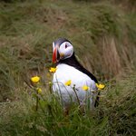 Photo taken by Kim C