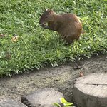 Photo taken by Brett B