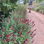 Photo taken by Gary G