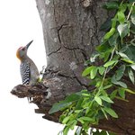 Photo taken by Graeme W