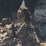 Photo taken by Allyson A