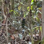 Photo taken by Ben B