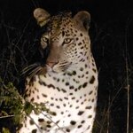 Photo taken by rhonda c