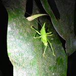 Photo taken by William R