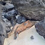 Photo taken by Thomas L