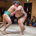 Photo taken by Giulia C