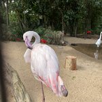 Photo taken by Graciela P