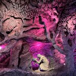 Photo taken by Diana L