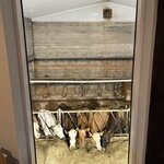 Photo taken by Lynn H