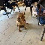 Photo taken by Lilian T