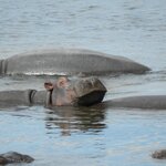 Photo taken by Linette B