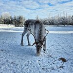 Photo taken by Caitlin P