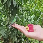 Photo taken by Jayme B