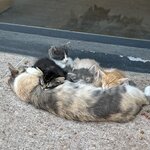 Photo taken by Paula H