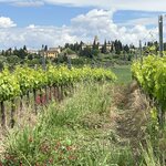 Photo taken by Tracy F