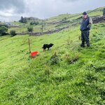 Photo taken by Sharon S