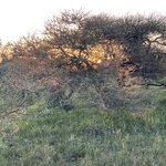 Photo taken by Jeanine B