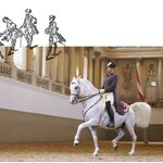 Photo taken by Diane C