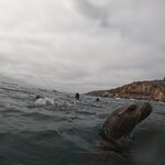 Photo taken by nikunj g