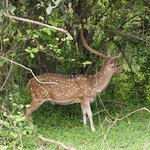 Photo taken by Inge van K