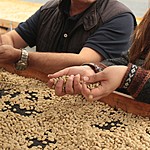 Photo taken by Marcia G