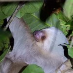 Photo taken by Jaya C