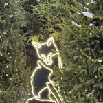 Photo taken by Ellyn V