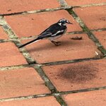 Photo taken by Fuad A