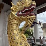 Photo taken by Leslie S