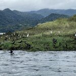 Photo taken by Victoria C