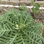 Photo taken by Liz S