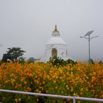 Photo taken by Emily K