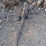 Photo taken by Elise C