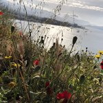 Photo taken by Shawn G