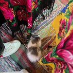 Photo taken by Grace S