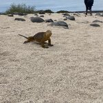 Photo taken by Jessica S