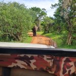 Photo taken by Tanya G